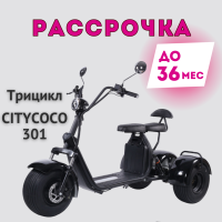 Трицикл CityCoco SMD 301