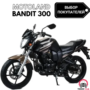 Мотоцикл Motoland BANDIT 300