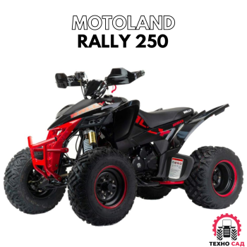 Квадроцикл Motoland Rally 250
