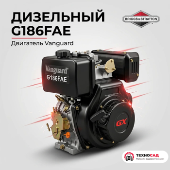 Дизельный двигатель Vanguard G186FAE (10 л.с.)