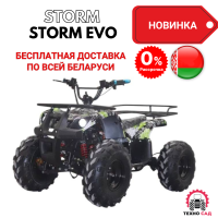 Электроквадроцикл Storm EVO 