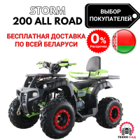 Квадроцикл ATV Storm 200 All Road