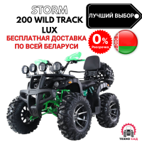 Квадроцикл ATV Storm 200 Wild Track Lux+Лебедка