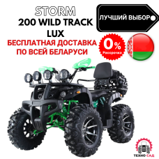 Квадроцикл ATV Storm 200 Wild Track Lux
