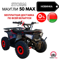 Квадроцикл Storm Маугли 50 MAX