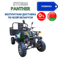 Квадроцикл грузовой ATV Storm Panther