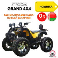 Электроквадроцикл  Storm Grand 4x4