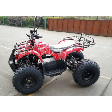 Квадроцикл GreenCamel Атакама T320 (48V 1000W R8 Дифференциал)