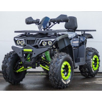 Квадроцикл ATV Motoland 200 Wild Track Lux 