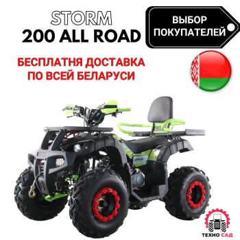 Квадроцикл ATV Storm 200 All Road с ПСМ
