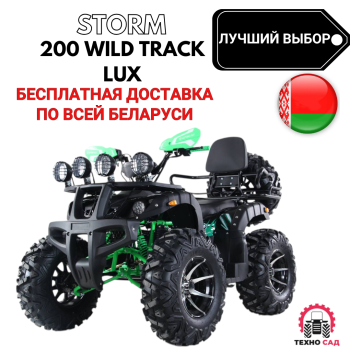 Квадроцикл ATV Storm 200 Wild Track Lux+Лебедка (ПСМ)