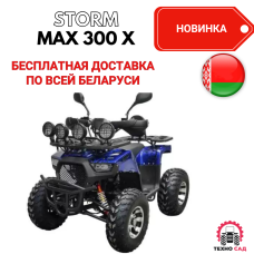 Квадроцикл Storm MAX 300 X 