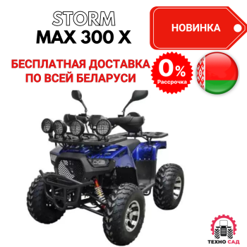 Квадроцикл Storm MAX 300 X ПОЛНЫЙ ПРИВОД (с ПСМ)