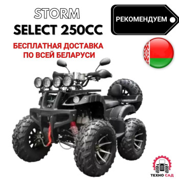 Квадроцикл Storm Select 250CC (с ПСМ)