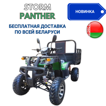 Квадроцикл грузовой ATV Storm Panther с ПСМ