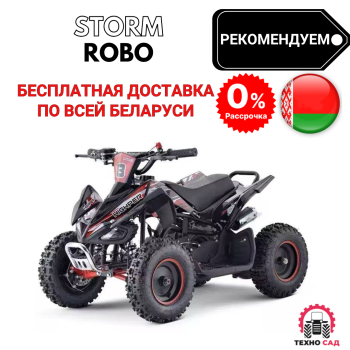 Квадроцикл детский Storm Robo