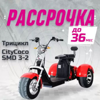 Трицикл CITYCOCO (SMD 302) NEW+ПОДАРОК