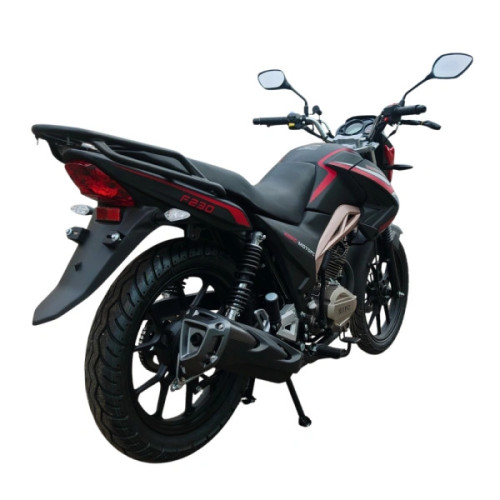 Мотоцикл ХОРС F230