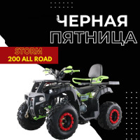 Квадроцикл ATV Storm 200 All Road с ПСМ