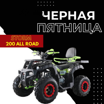 Квадроцикл ATV Storm 200 All Road с ПСМ