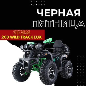 Квадроцикл ATV Storm 200 Wild Track Lux+Лебедка (ПСМ)