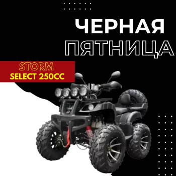 Квадроцикл Storm Select 250CC (с ПСМ)