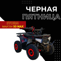 Квадроцикл Storm Маугли 50 MAX