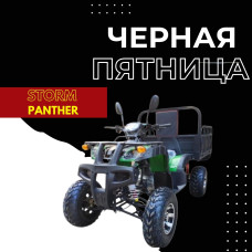 Квадроцикл грузовой ATV Storm Panther