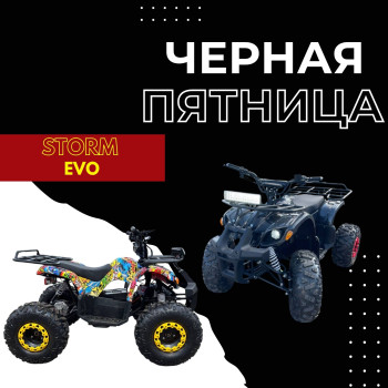 Электроквадроцикл Storm EVO 