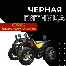 Электроквадроцикл  Storm Grand 4x4 + багажник