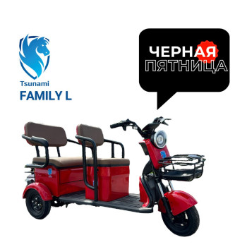 Электроскутер Tsunami Family  L