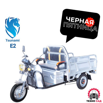 Электротрицикл грузовой Tsunami E2 