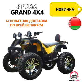 Электроквадроцикл  Storm Grand 4x4 + багажник