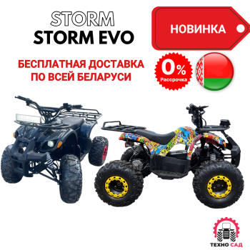 Электроквадроцикл Storm EVO 