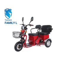 Электроскутер Tsunami Family  L